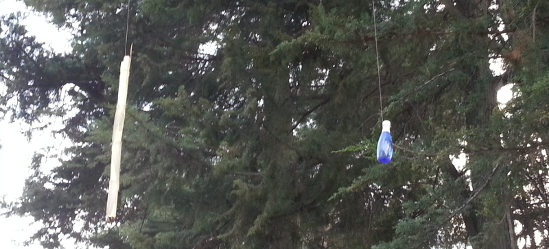 Hanging Bottle